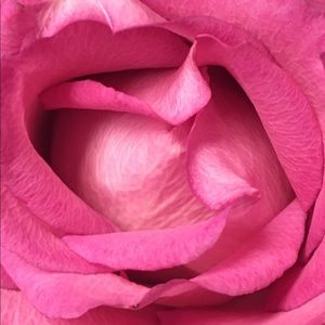 Meet your Posher, Kristi